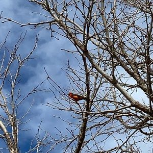 Meet your Posher, Kevin